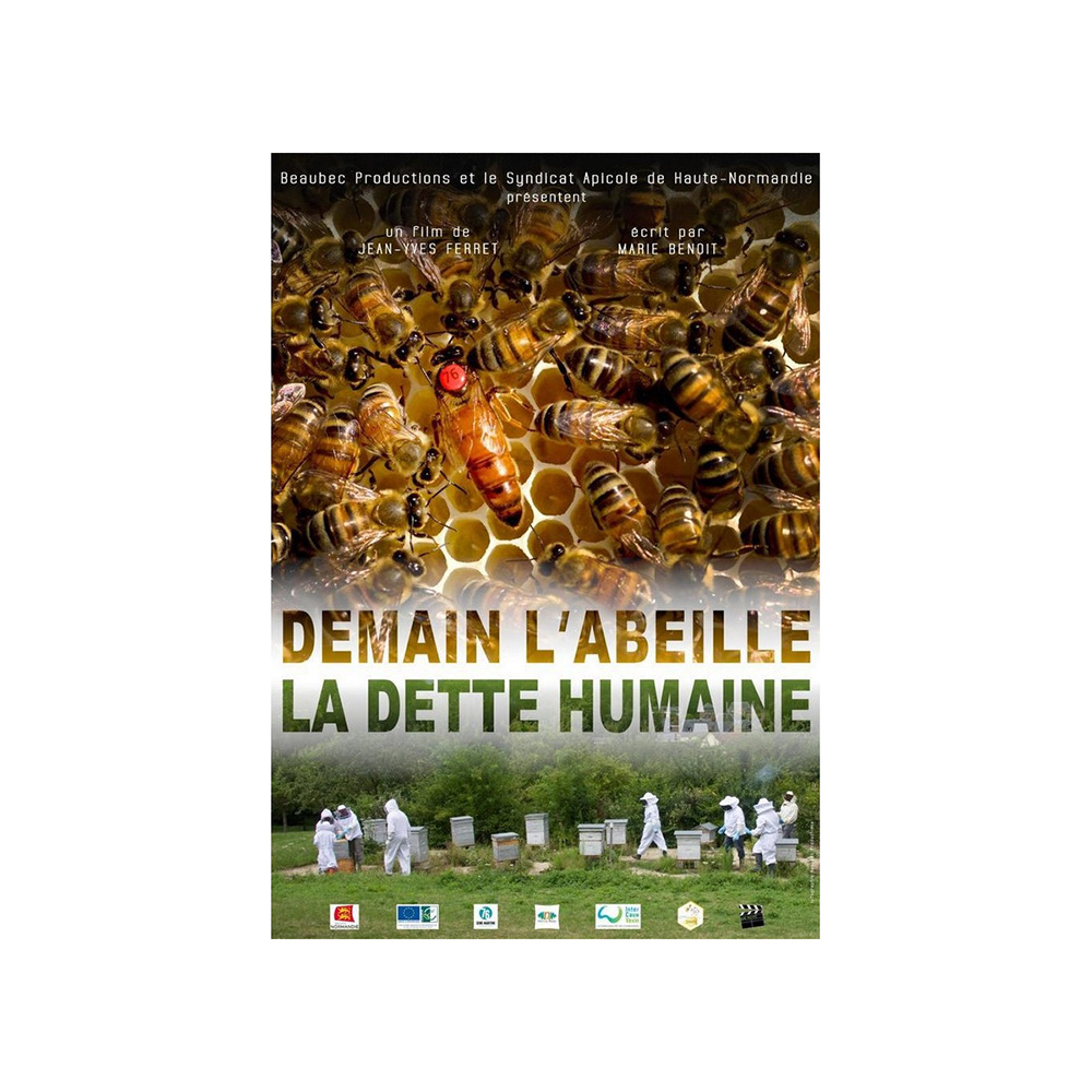 DVD Demain l'abeille, la dette humaine
