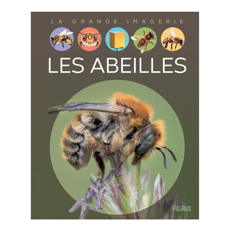 Les Abeilles - La Grande Imagerie