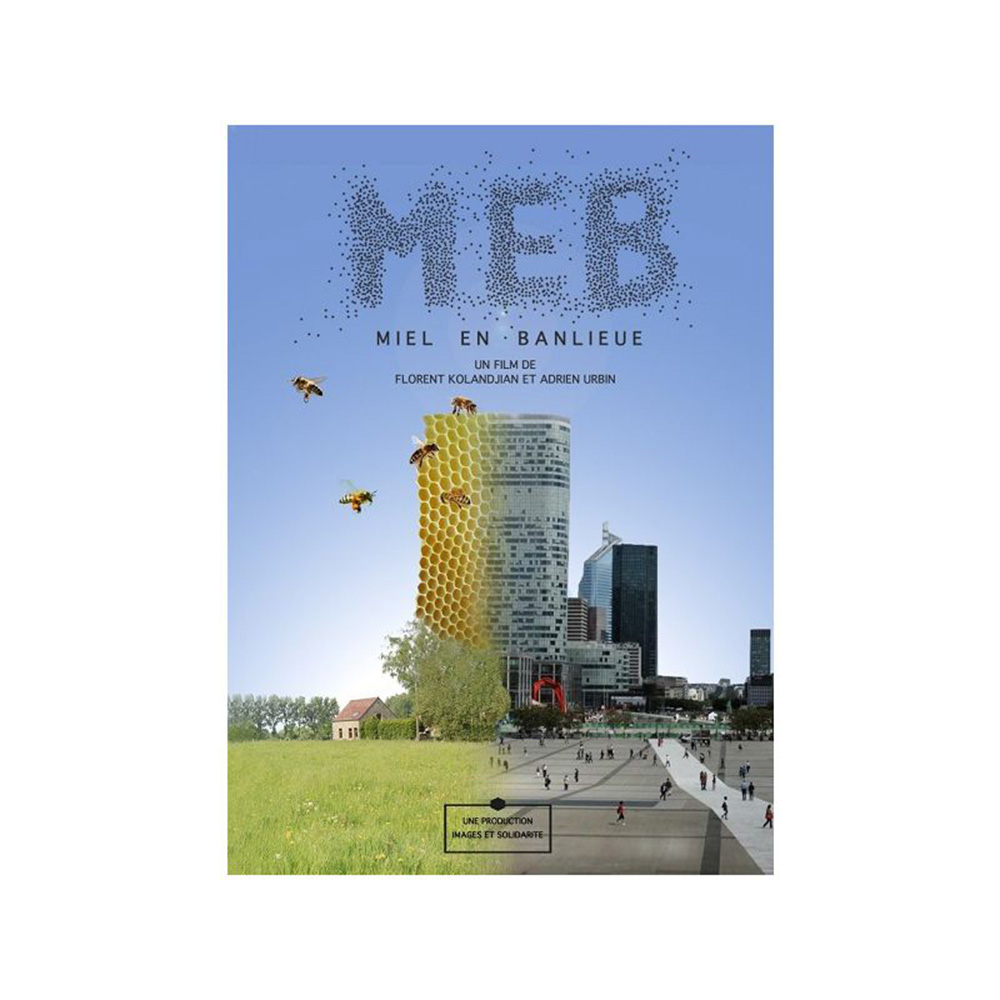 DVD Miel en banlieue