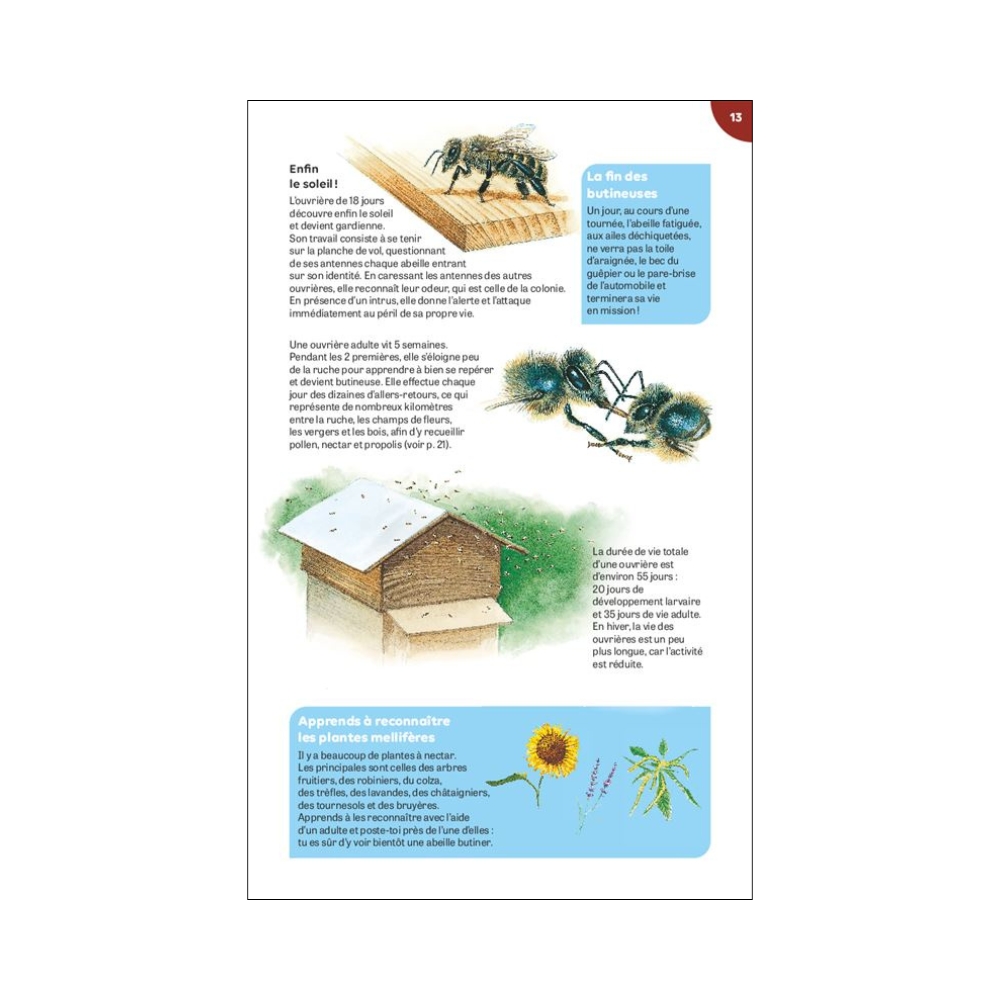 Livre carnet de nature La Ruche Milan – Image 2