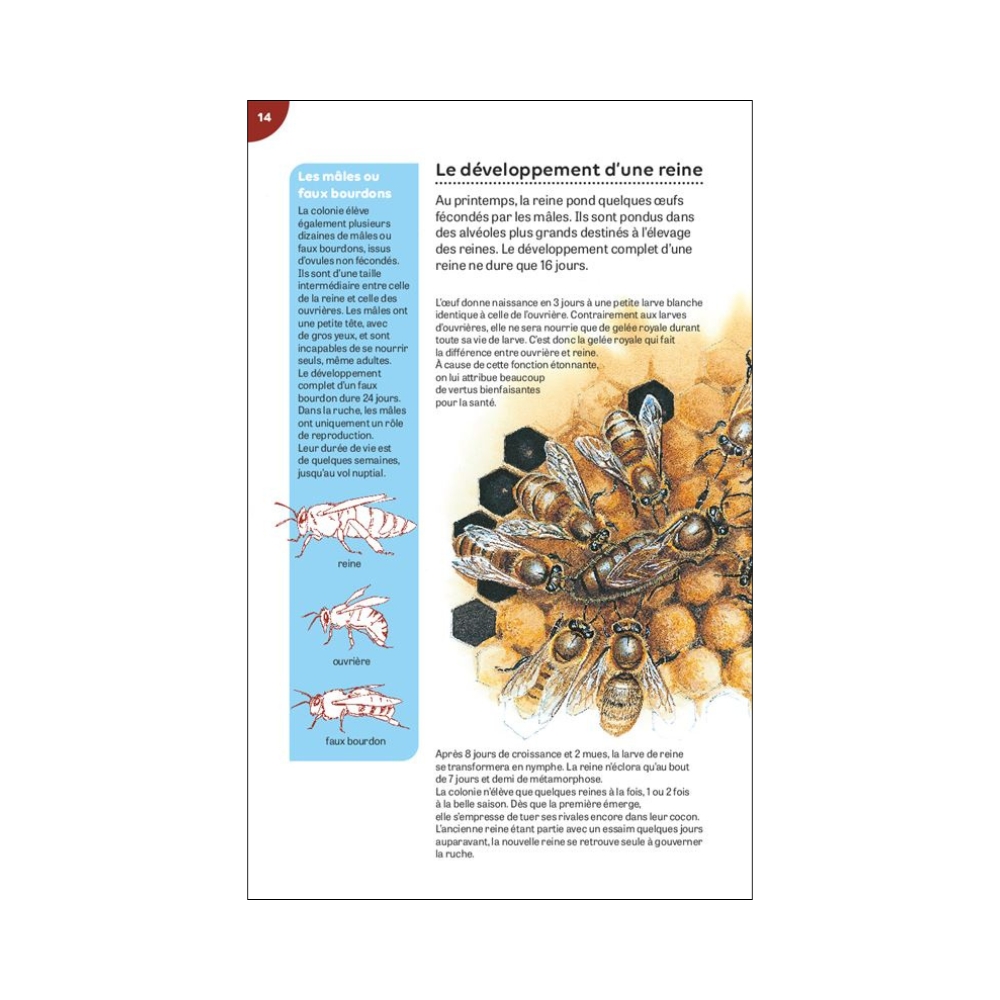 Livre carnet de nature La Ruche Milan – Image 3