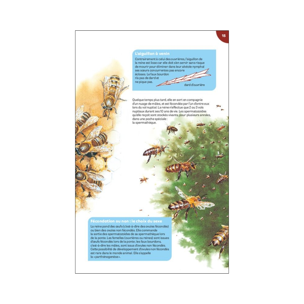 Livre carnet de nature La Ruche Milan – Image 4