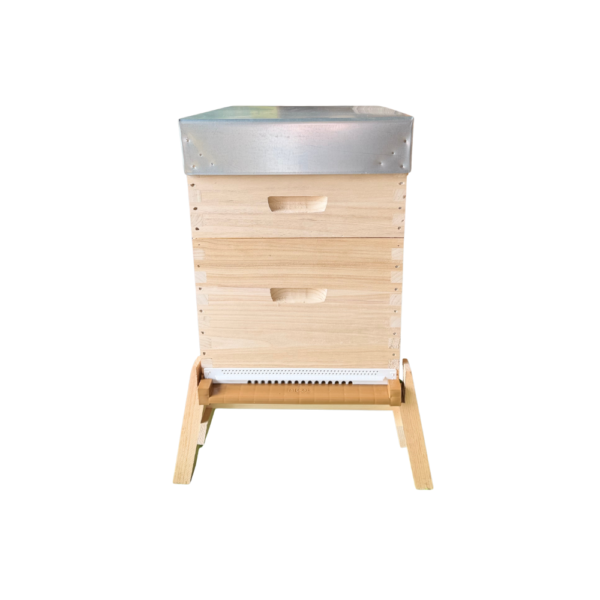 Ruche INTÉGRALE Dadant 10C en PIN PAULOWNIA A TENONS