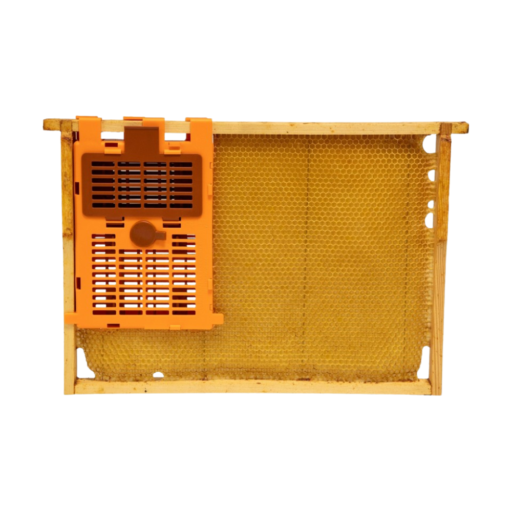 Izovar cage d'isolation anti-varroa LYSON – Image 4